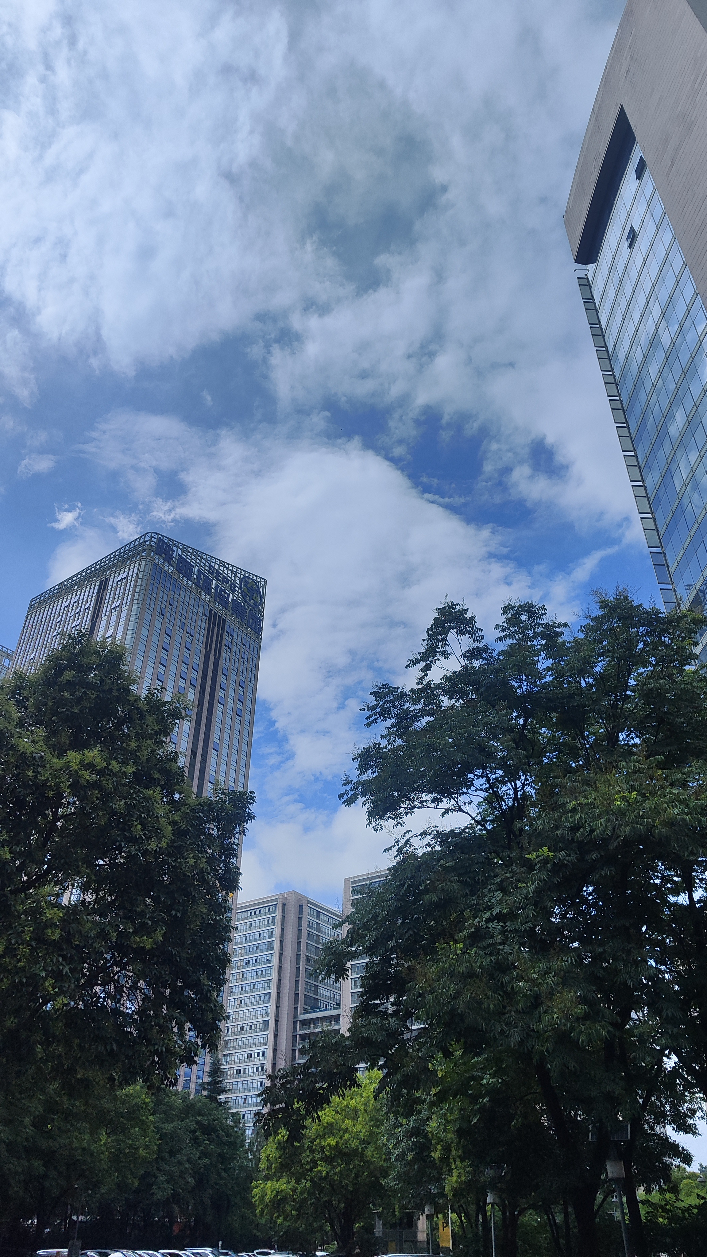 【“白海豚”逼近上海危险区域已转移3万人】记者8日从上海市防汛指挥部获悉，为防范