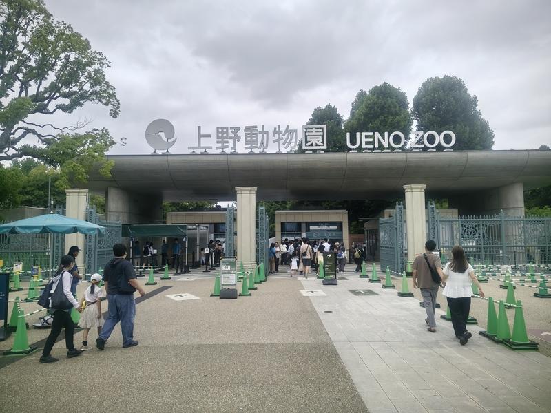 日本公众希望大熊猫留在上野动物园这事儿挺能理解。毕竟大熊猫那憨态可掬的模样，谁看