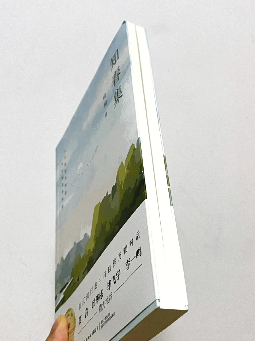 不愧是央妈推荐❗️她的文笔真的太太太绝了！！