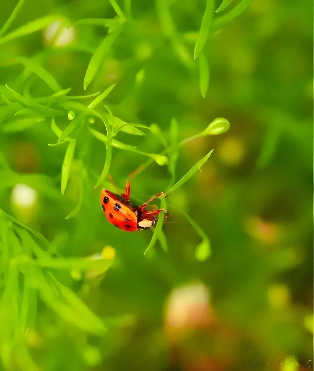 时光一场梦，岁月一场情，花开一树暖，叶落一韶华～ ​​​