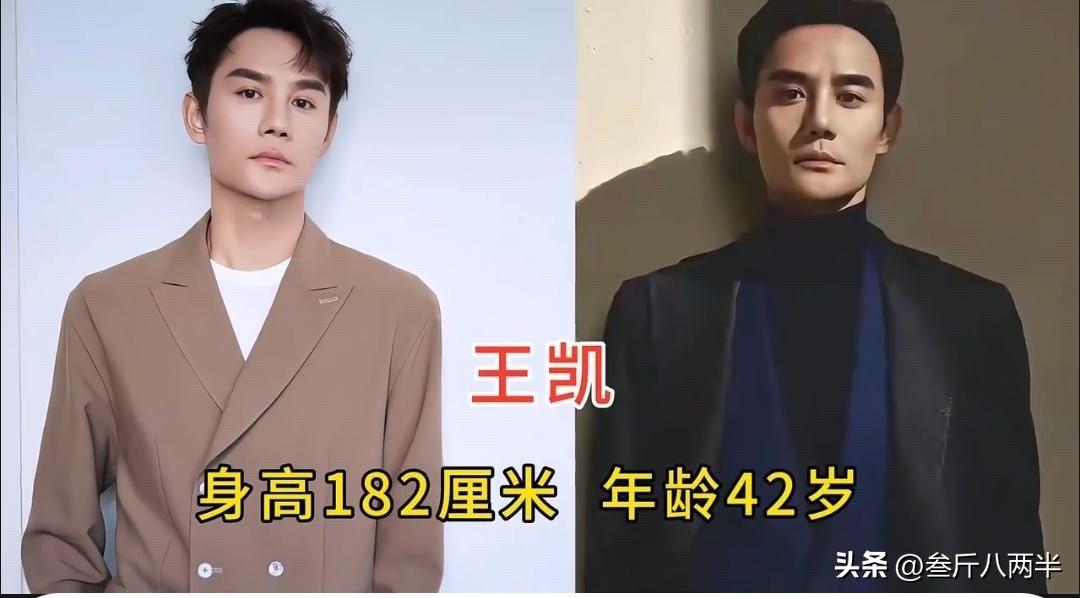 这10位叔圈男神，年龄最大50岁最小41岁，你被谁迷住了？

王凯演过《大江大河