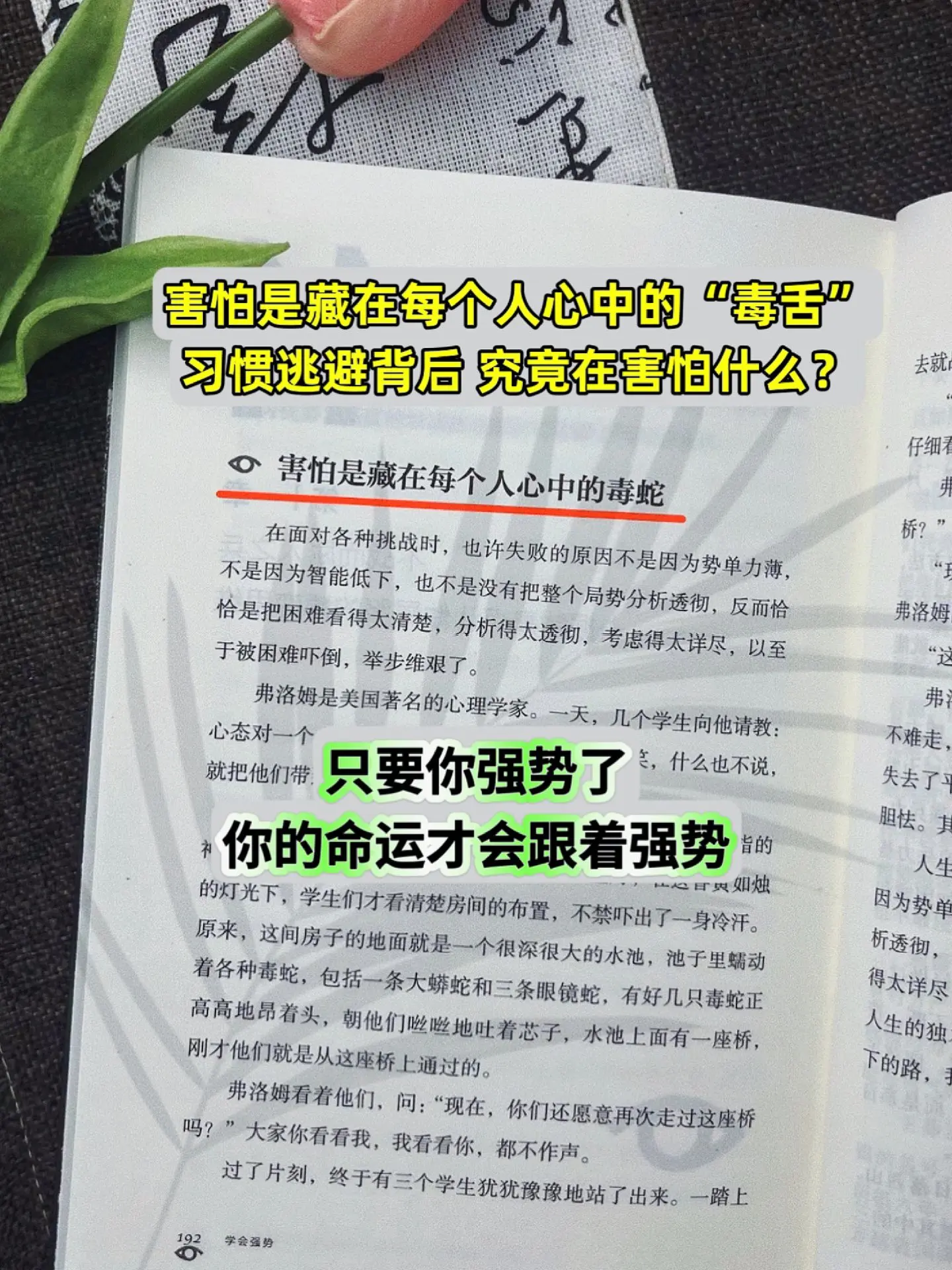 性格太软、不懂拒绝的你，疯狂去读这本书！如何在工作、恋爱和人际交往中快...