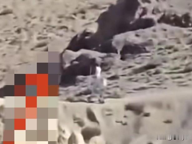 12月1日，有博主发布视频称，“印度人疑拍到我国机器人站岗”登上热搜，该博主表示