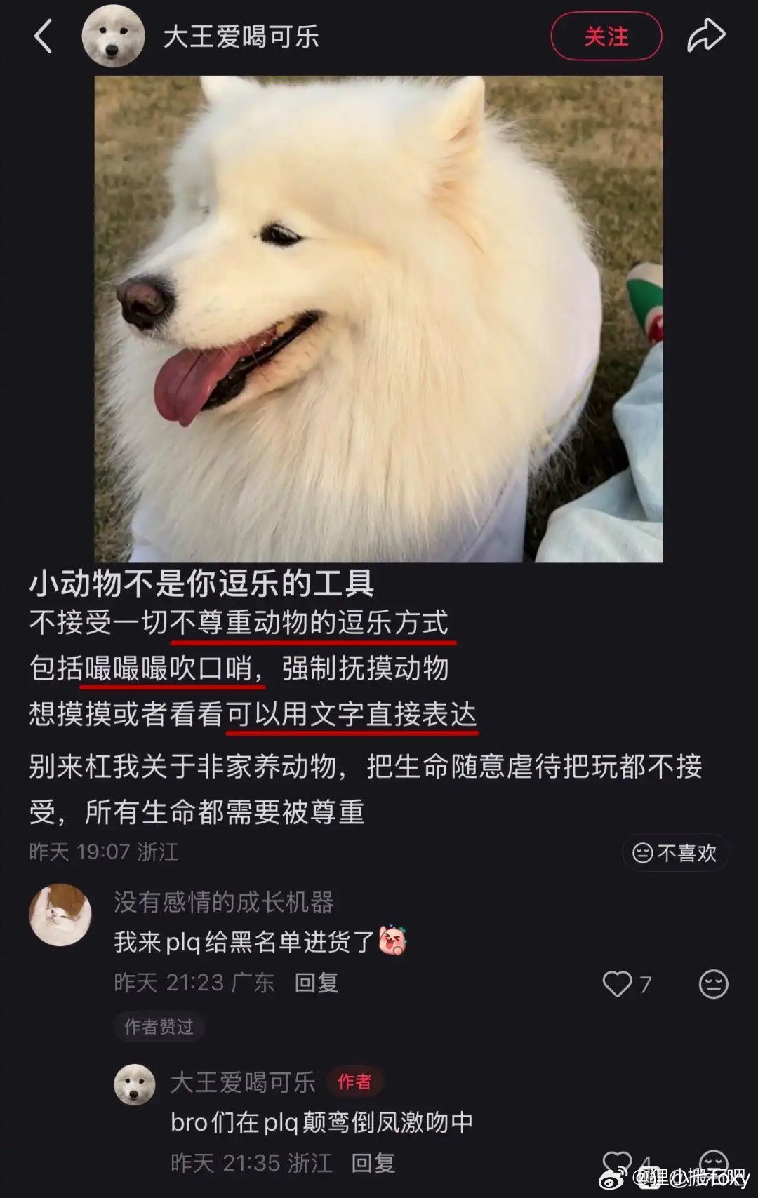 那这样吧你给动物当宠物吧自觉给自己开除人籍了也是 