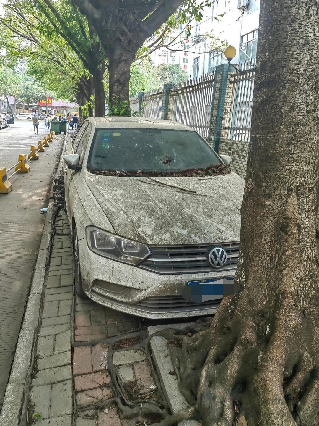 你身边遇到过这样的“僵尸车”么眼看都要跟树根长在一起了会不会好奇车主去哪了这台车