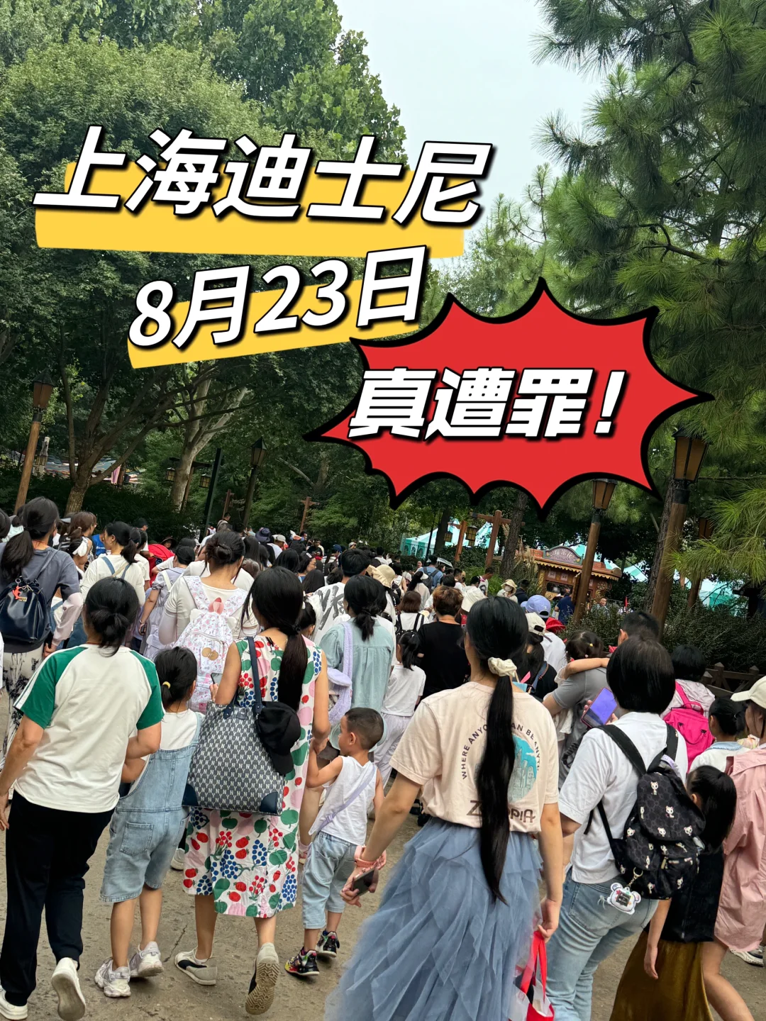 上海迪士尼8月23日惨状！真的太遭罪了😭！