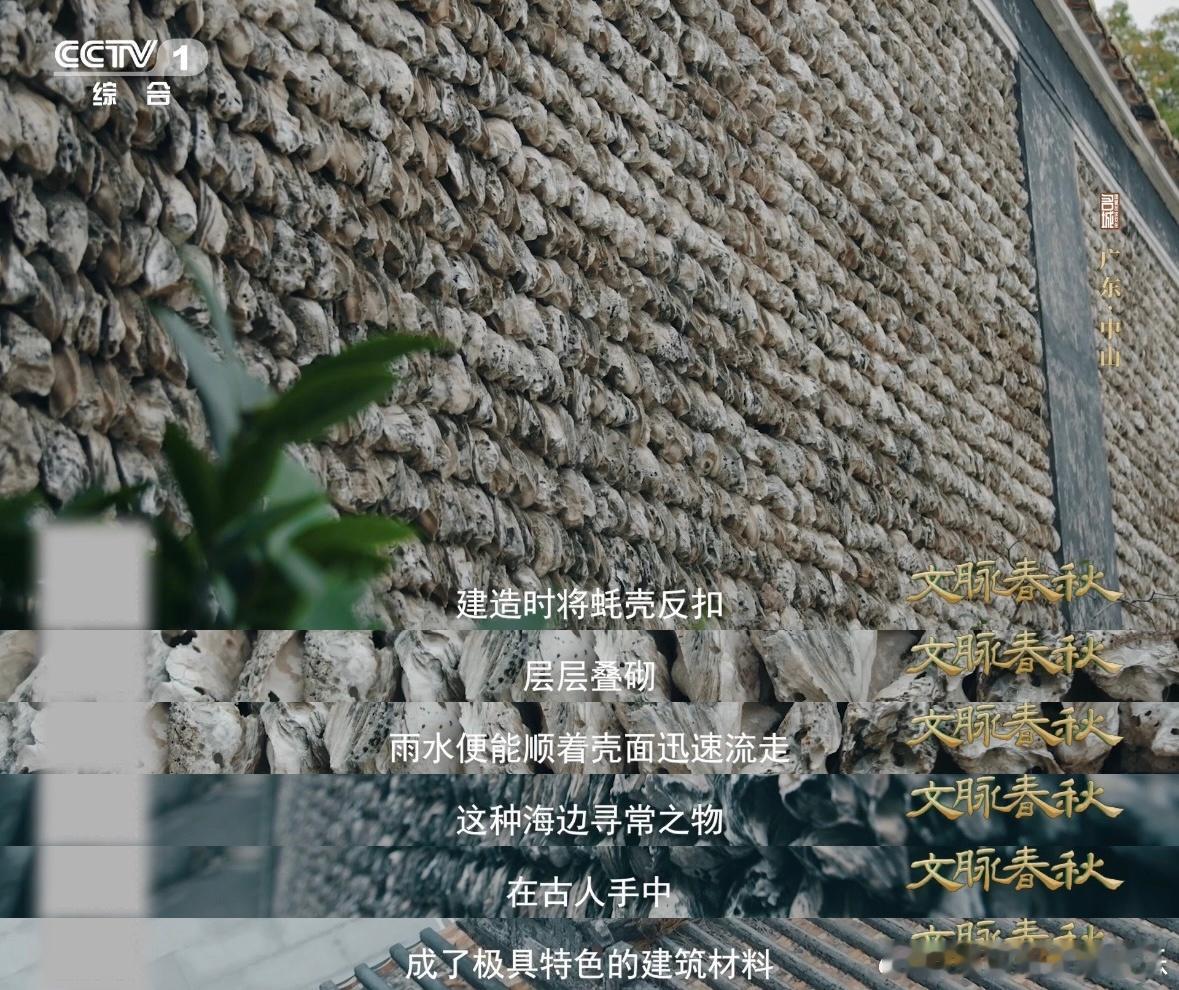 蚝壳砌的墙太震撼了谁能不爱岭南古建筑？明万历年间的蚝壳墙工艺考究，蚝壳反扣叠砌轻