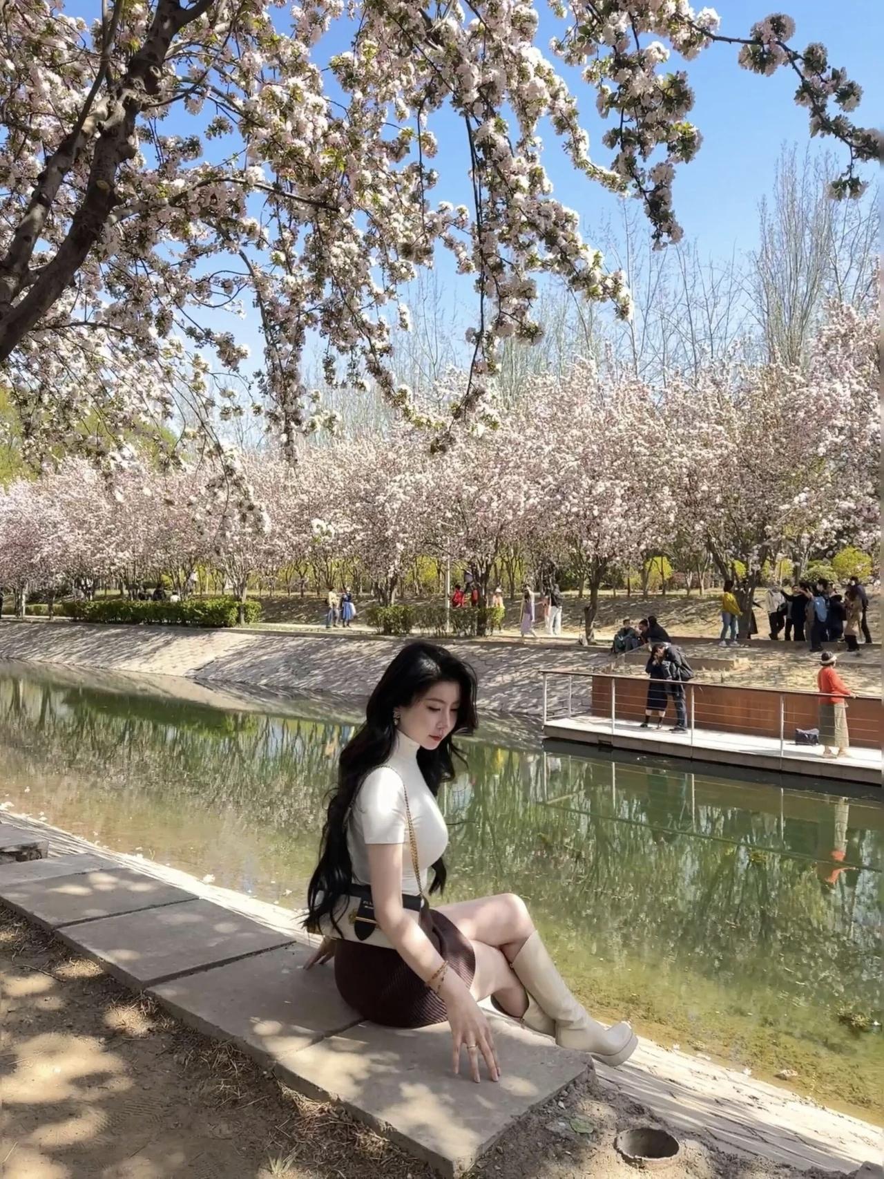 樱花树下，静坐沉思，岁月静好。