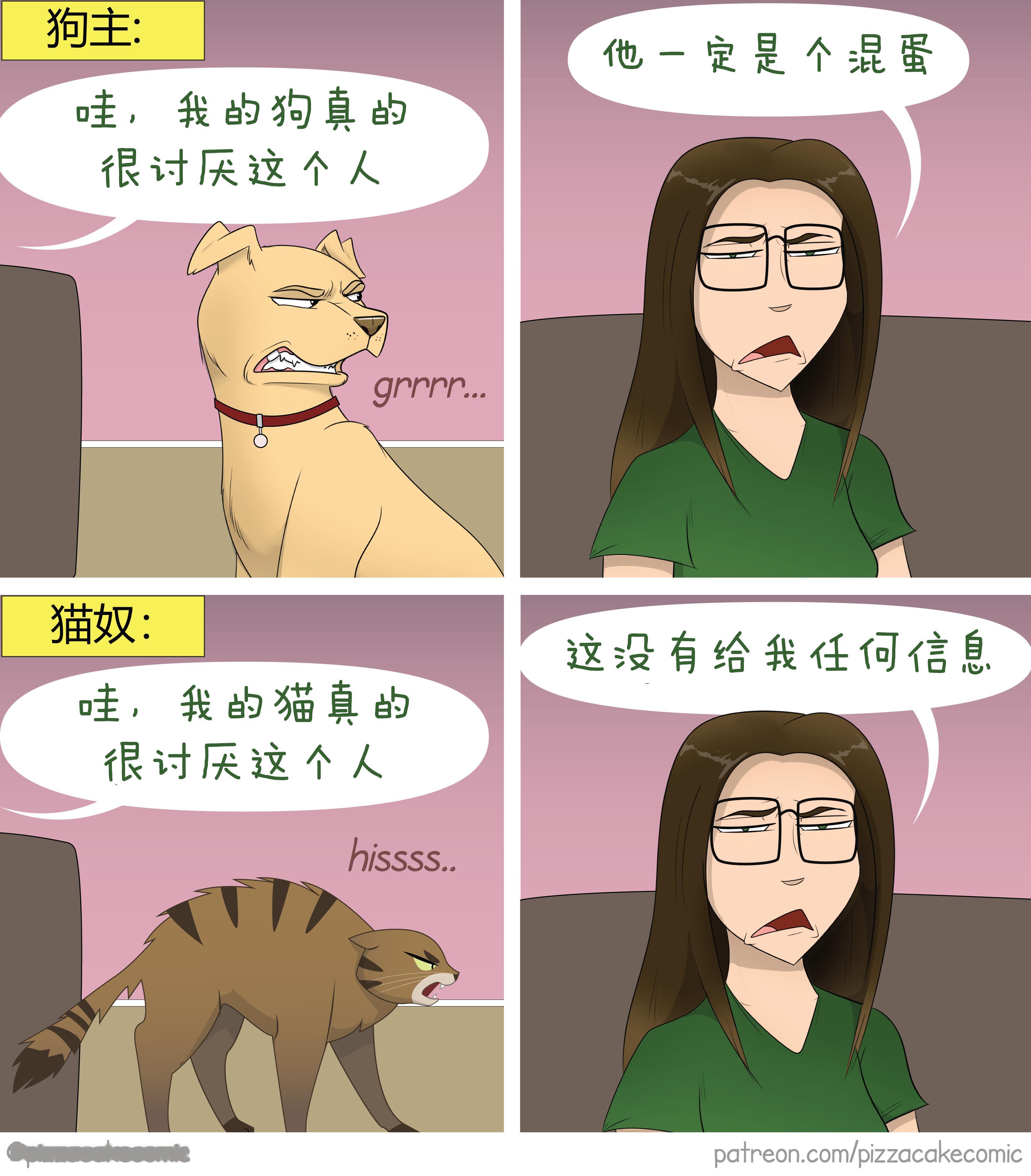 我家的猫觉得你发的微博很无聊 