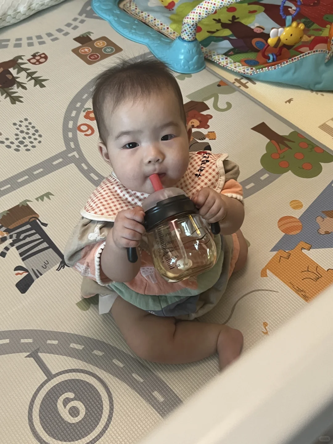 七个月的宝宝自主进食都到什么level了？