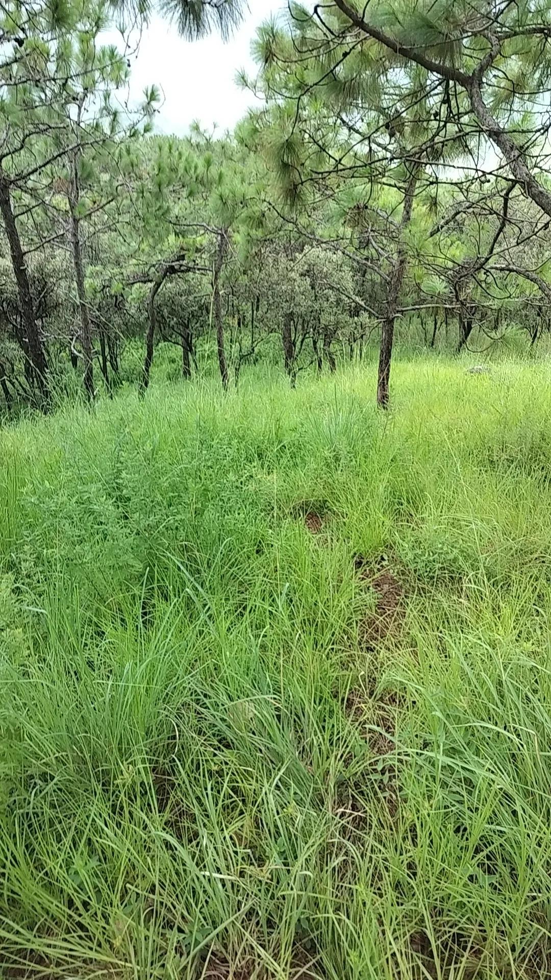 夏日生活打卡季中双色球一等奖