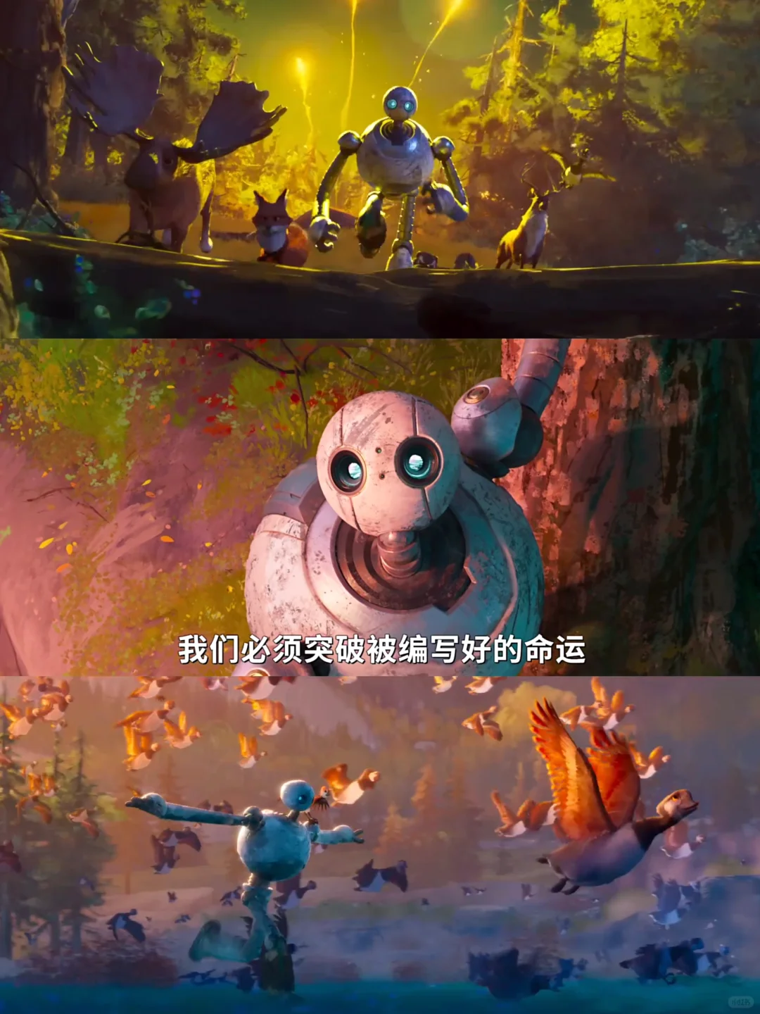 看得我泪流不止😭“生命的力量在于不顺从”‼️
