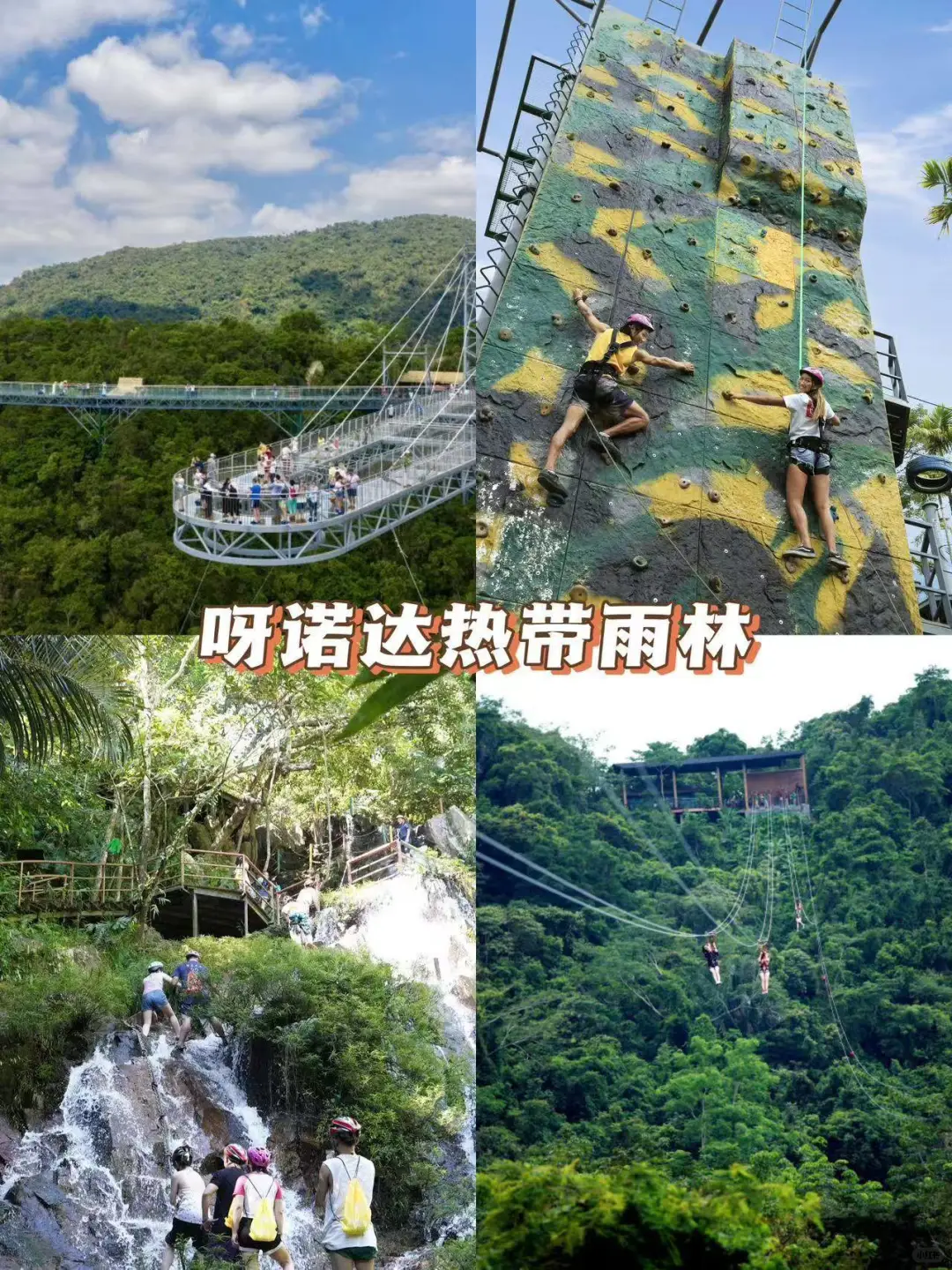 三亚还有热带雨林？？太酷啦~