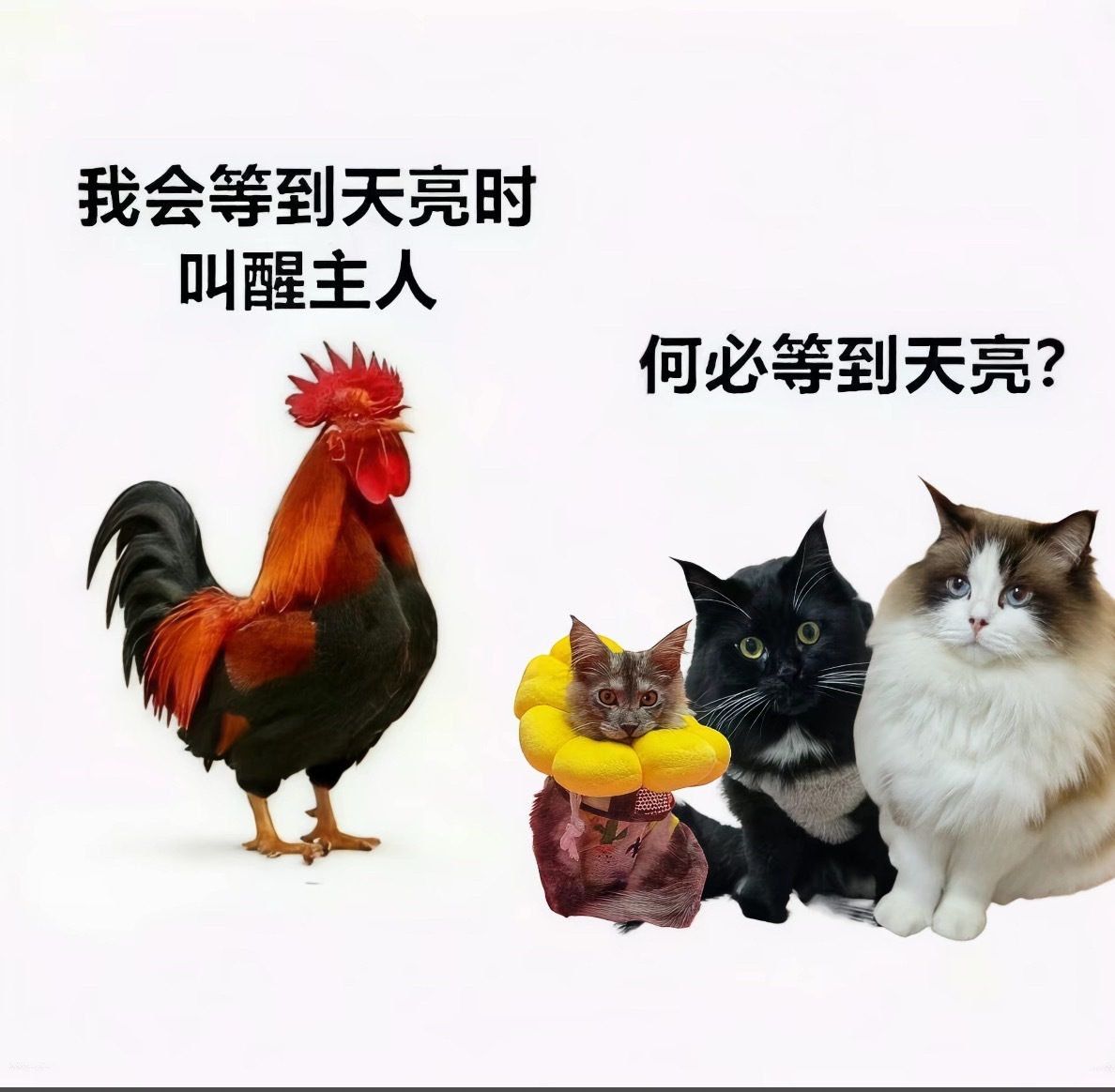 何必苦等？ ​​​