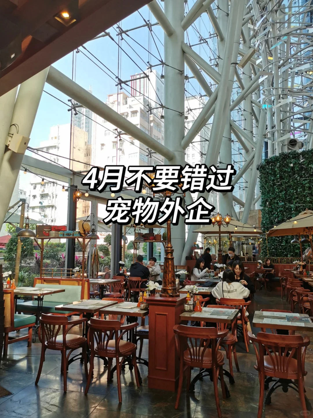找工作的不妨试试宠物外企，是真的很香！