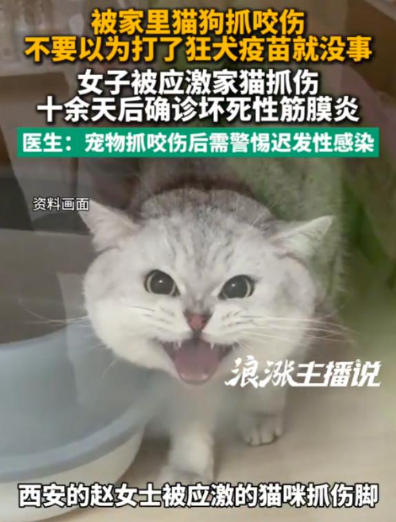 8月7日报道陕西西安，一女子被家猫抓出血，全程规范打完疫苗、伤口快速结痂后本以为