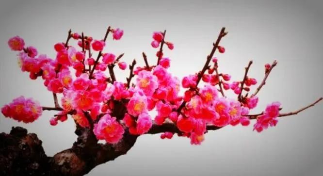 周三盘后再度传出重大利好消息，周四这一领域有望成为市场焦点！
周三盘后利好消息如