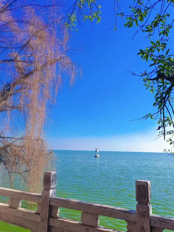 我格外努力，从一开始便踏上创业之路，既小心翼翼又勇往直前。起初回家种蘑菇，尝试了