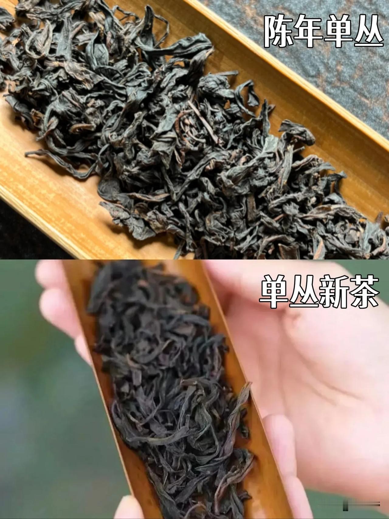 什么样火功的单丛适合久存？买前必看！

很多人以为存单丛，只要香型好、品种稀有就