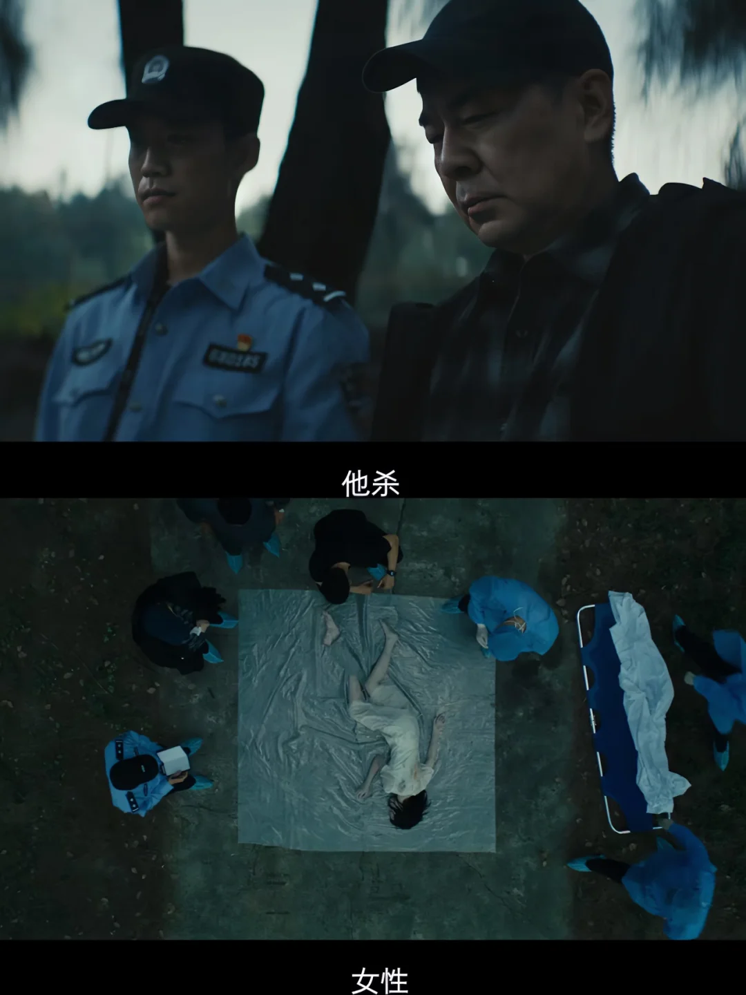 迷雾剧场‼️这阵容鲨疯了