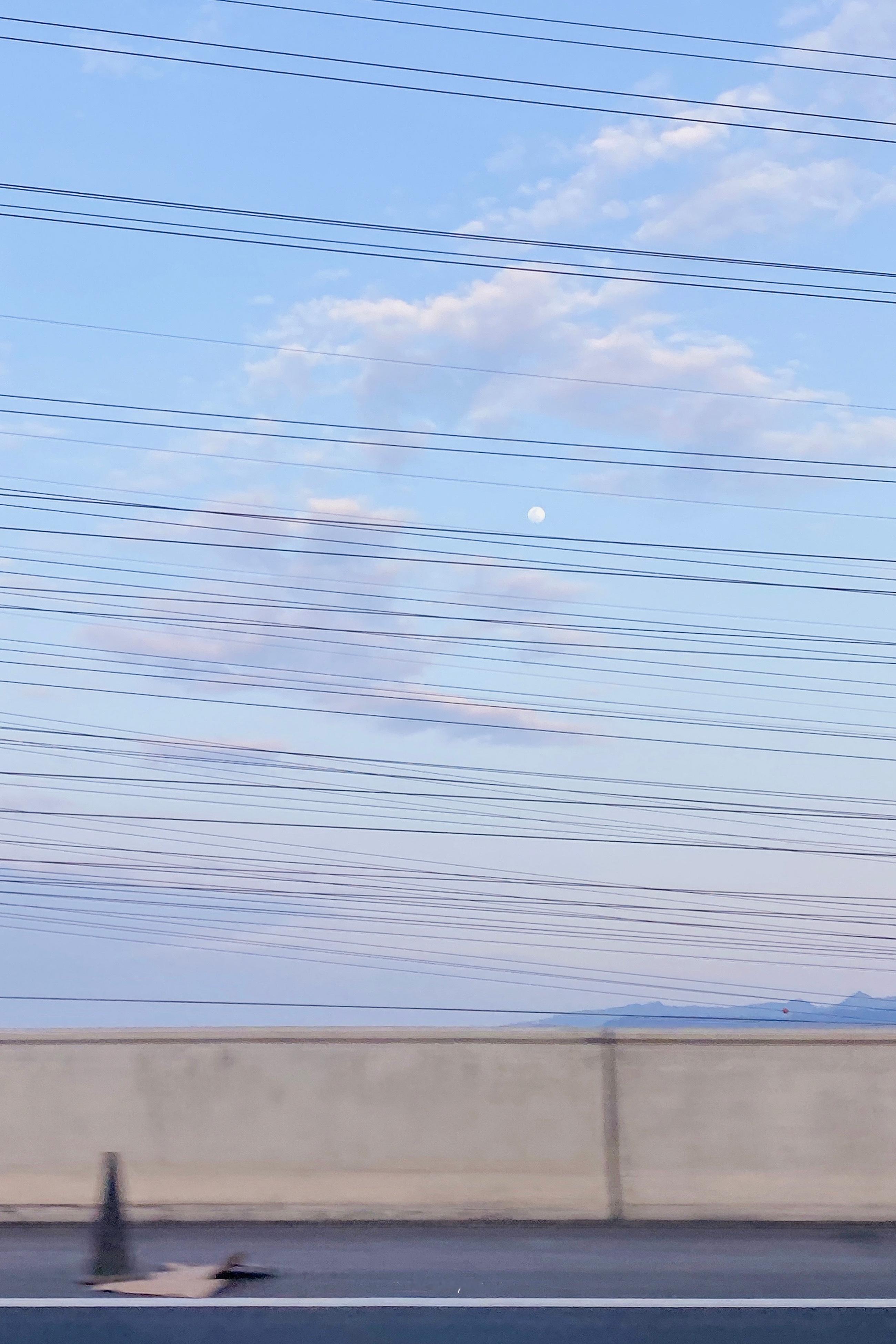 祝你今天愉快，你明天的愉快留着我明天再祝。——王小波 