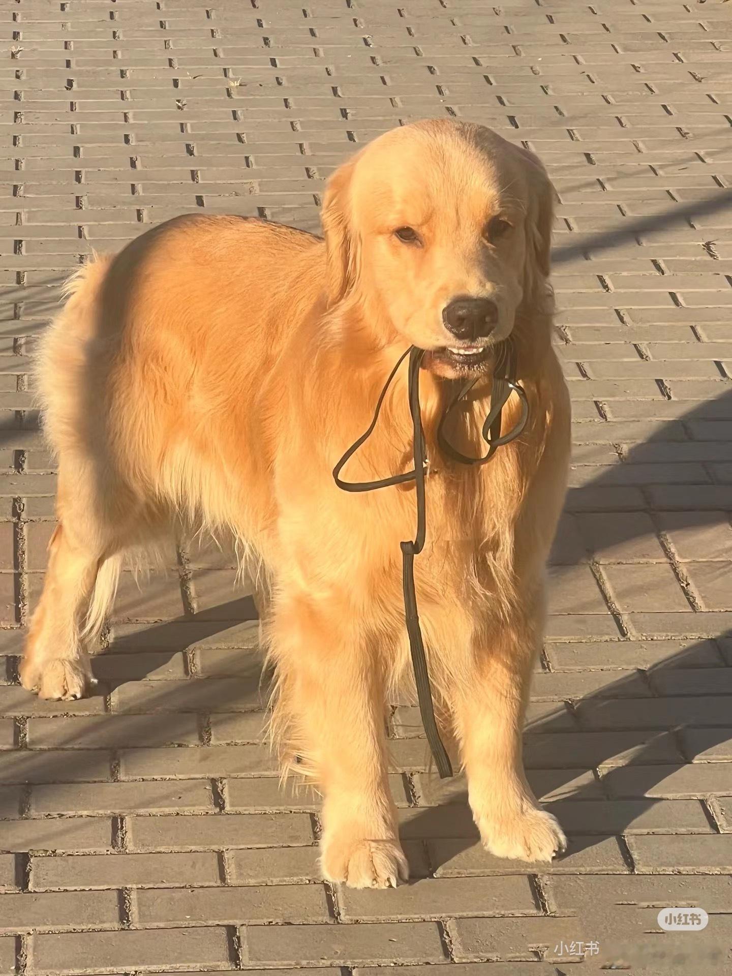 话不多说直接上图，10🈷️20联赛来了冲冲冲 ​​​