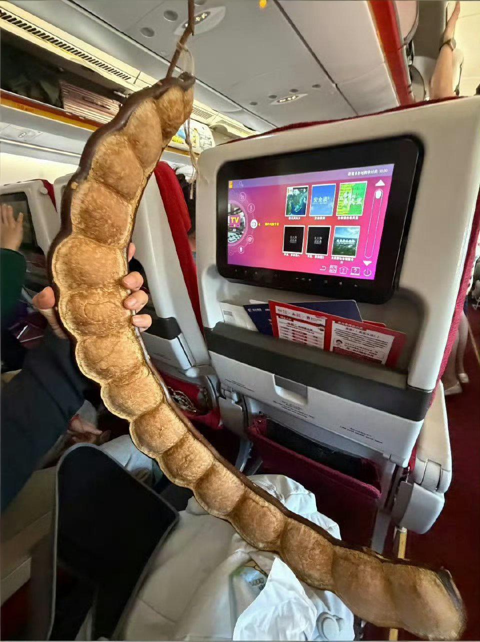 这个可以带上飞机真好