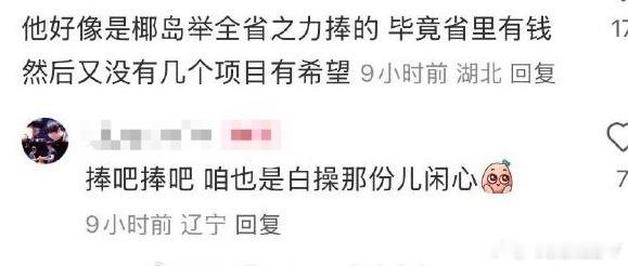 1 海南除了林诗栋之外 体育方面现在还有第二个门面担当吗？但是人家可没有一个季度