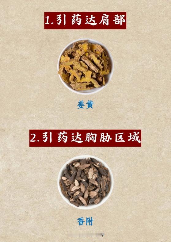 精准治疗，直达病灶：中医引经药的神奇功效（二）！中医健康科普养生涨知识中药

1