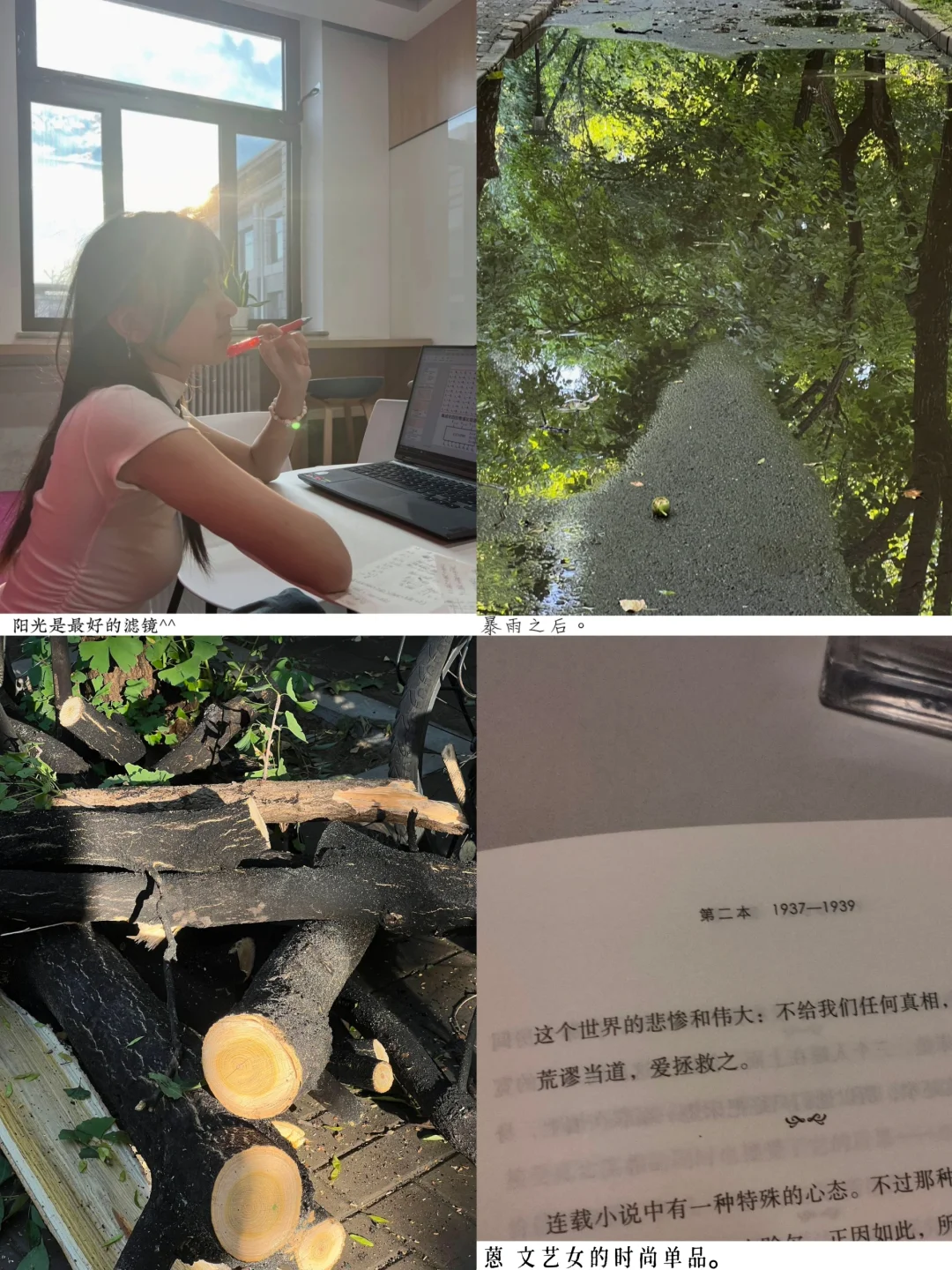 北航大二｜夏天是一种幻想🪵