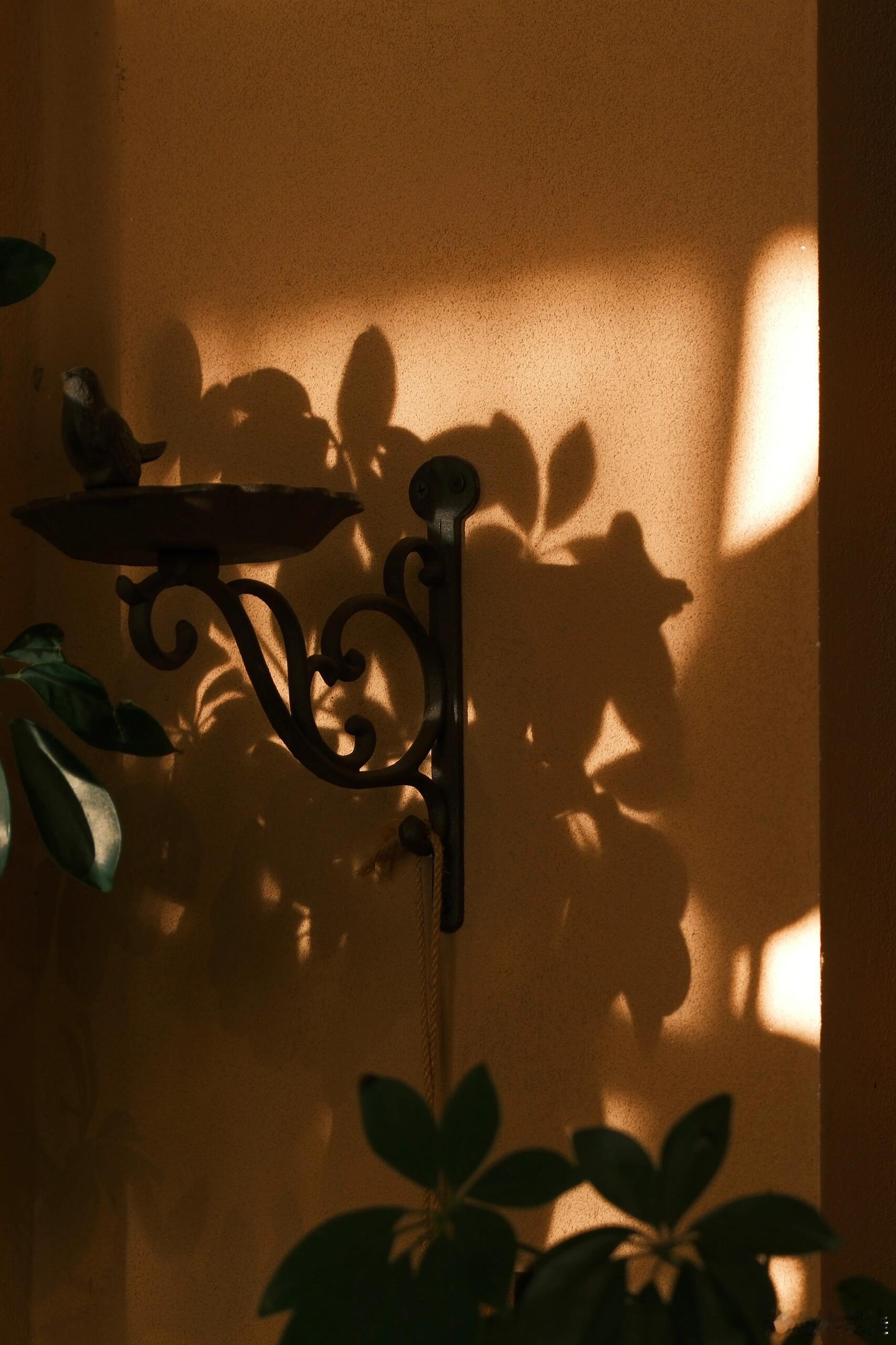 不必因为别人的一个眼神、一句评价就忐忑不安，怀疑自己是不是哪里做得不够好。别人的