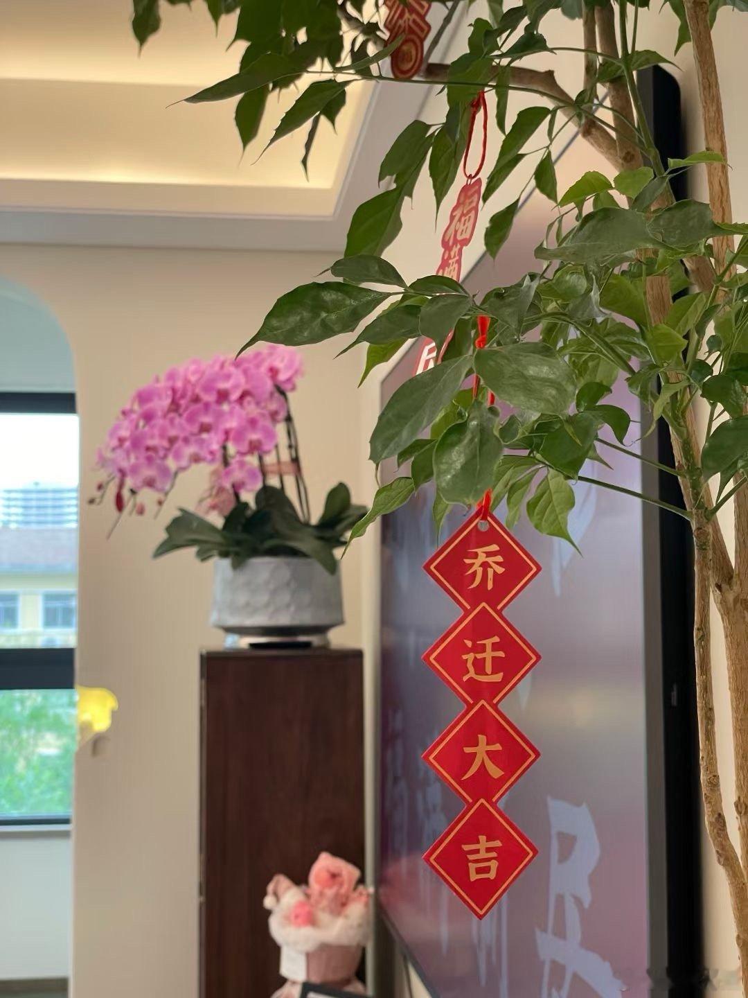最近事情真的超级多[裂开][裂开] 