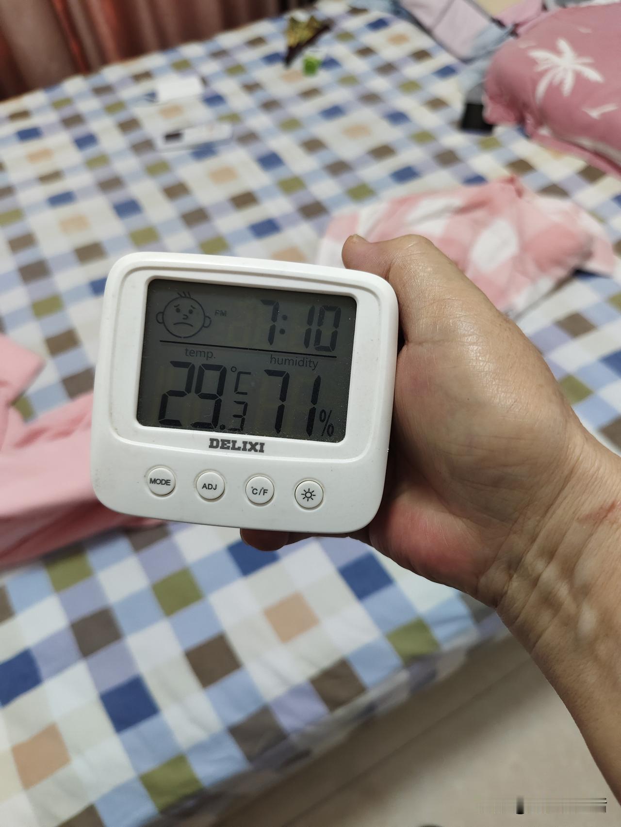 高温天的清晨，瞧瞧我在忙些啥
又是一个酷热难耐的高温天，我一觉睡到自然醒。早上7