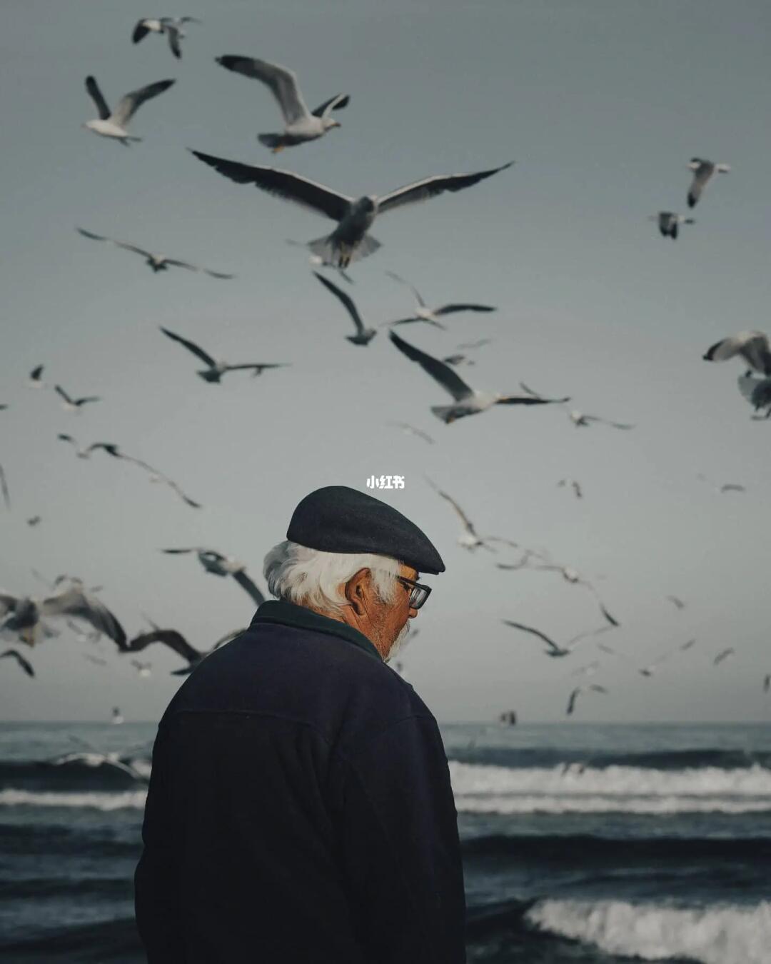 审美提升|每天认识一位摄影大师206