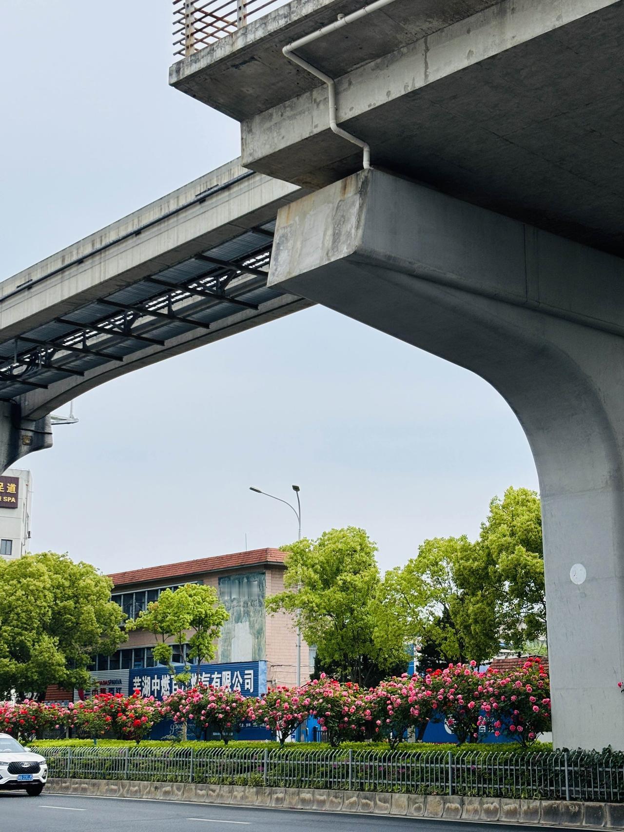 芜湖是一座被温柔包围的城市🏙️❤️