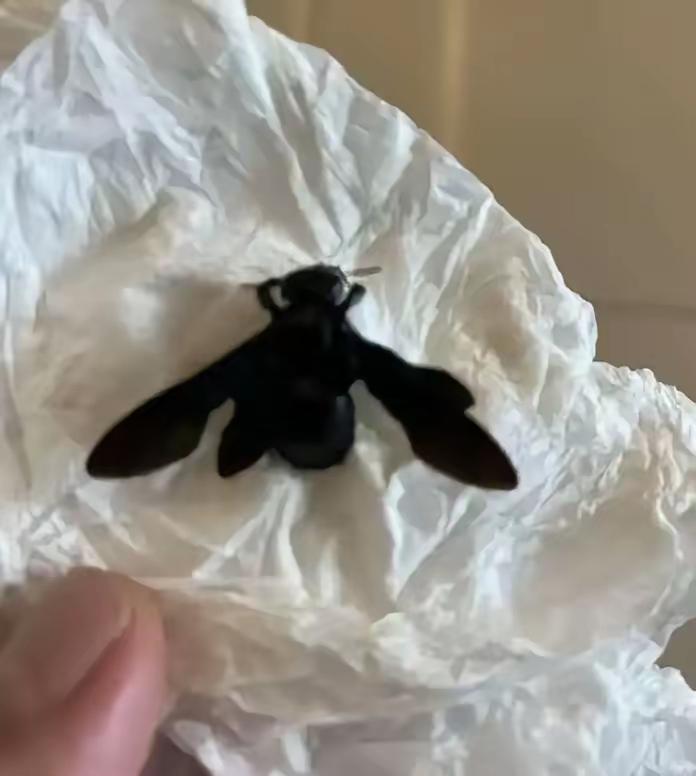 这起事件充分暴露了酒店管理和服务中的多重问题，也引发了公众对公共安全、责任承担以