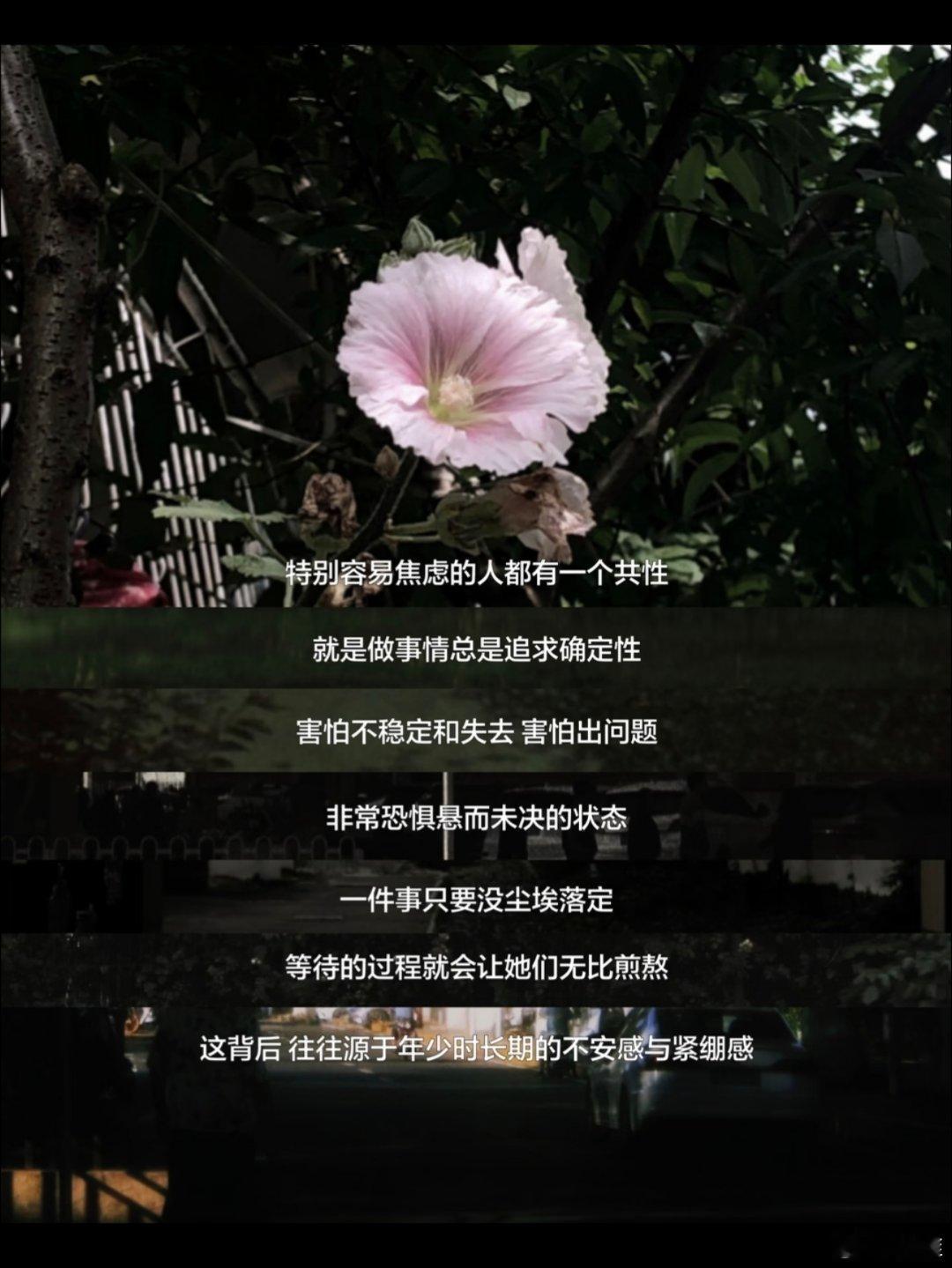 特别容易焦虑的人都有一个共性！ 