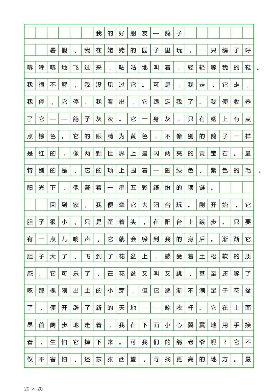 优秀作文摘抄《我的好朋友～鸽子》