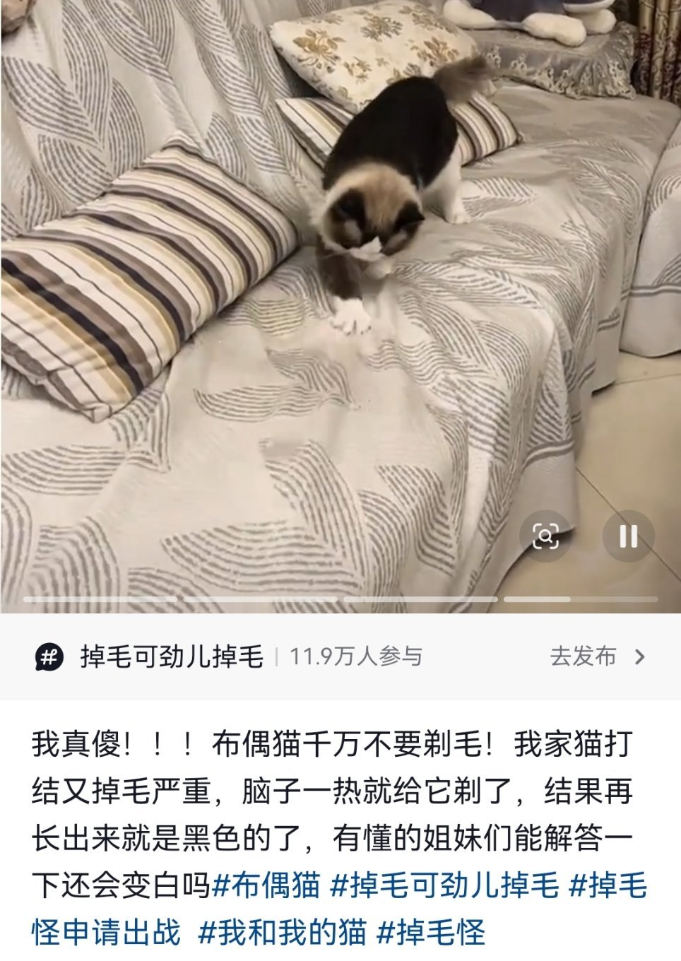 这这这剃了还会变黑吗，还好厚米没剃😳加点zuo料