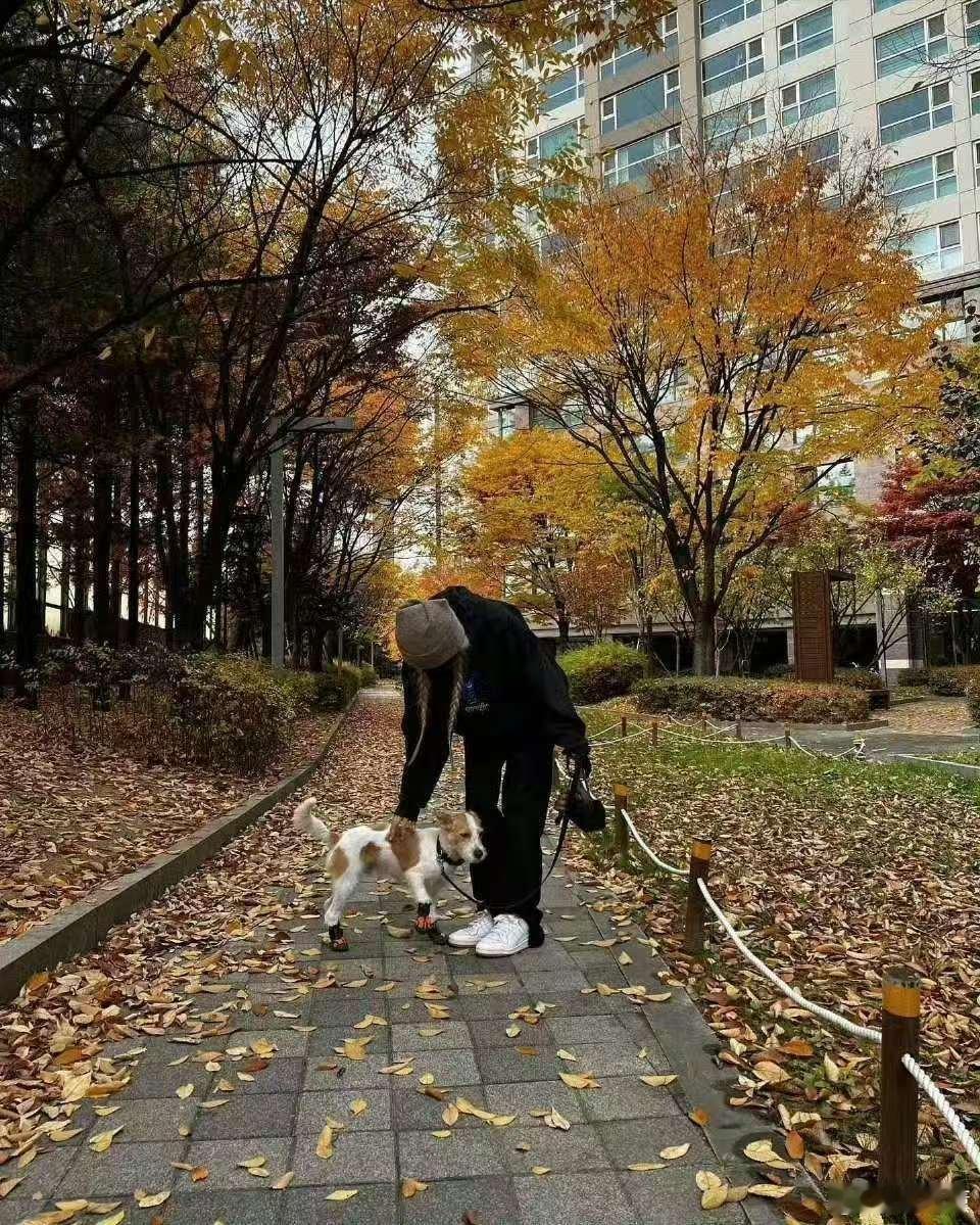 朴彩英完全秋冬穿搭模板🫶 