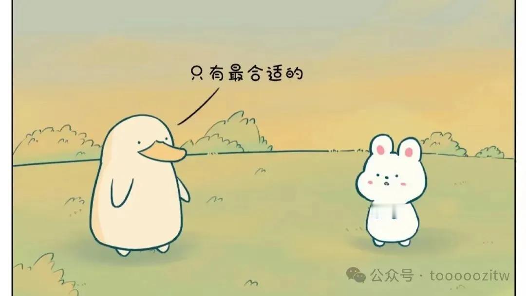全世界最合适的