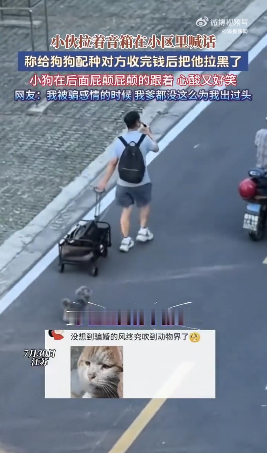 江苏，某小区，一个小伙花了800元给自家的狗狗找对象配种，可没想到，对方收了钱后