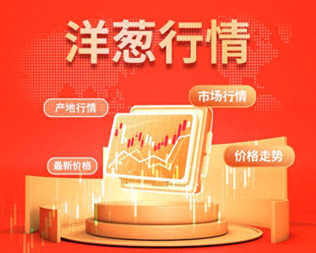 2026-10-10全国洋葱价格行情