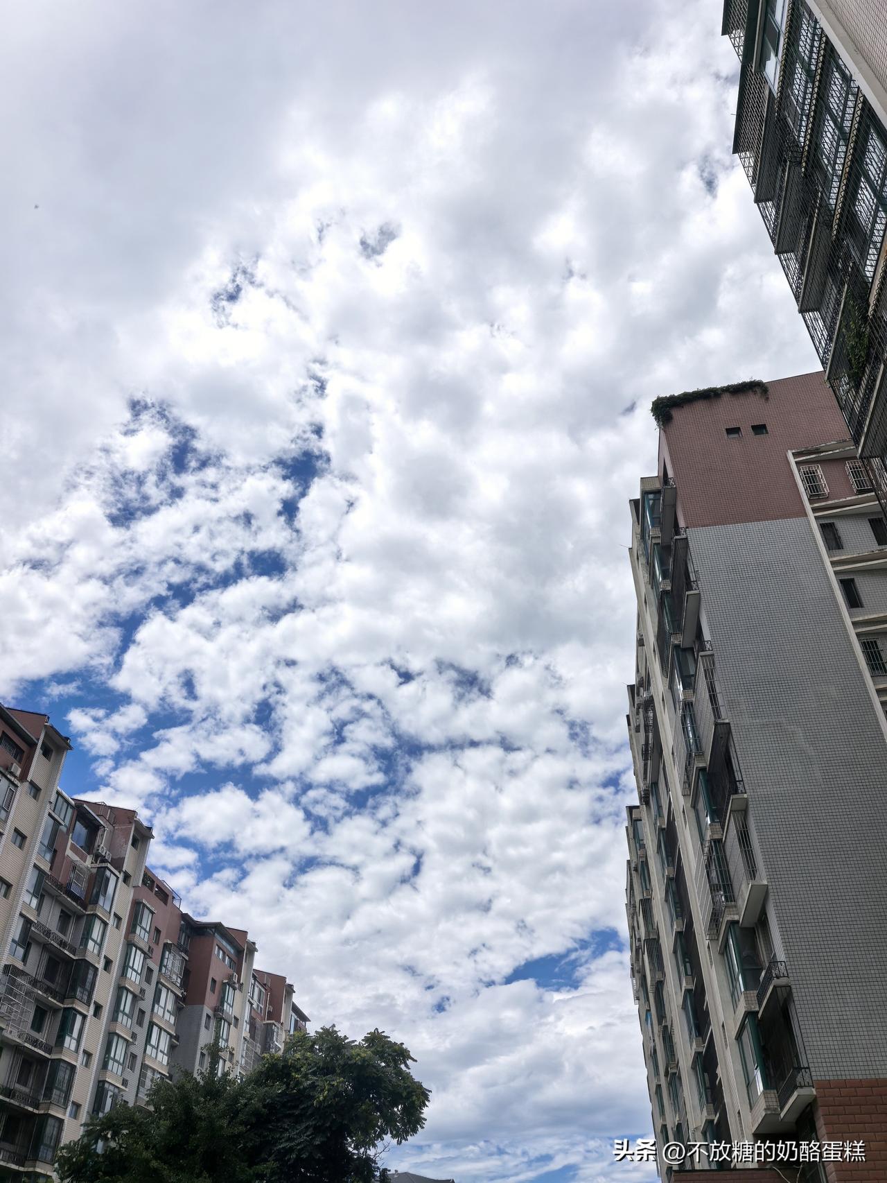 盛夏北京的天气越来越有意思了
昨天下午突如其来的暴雨，今天早上六点多的中到大雨，