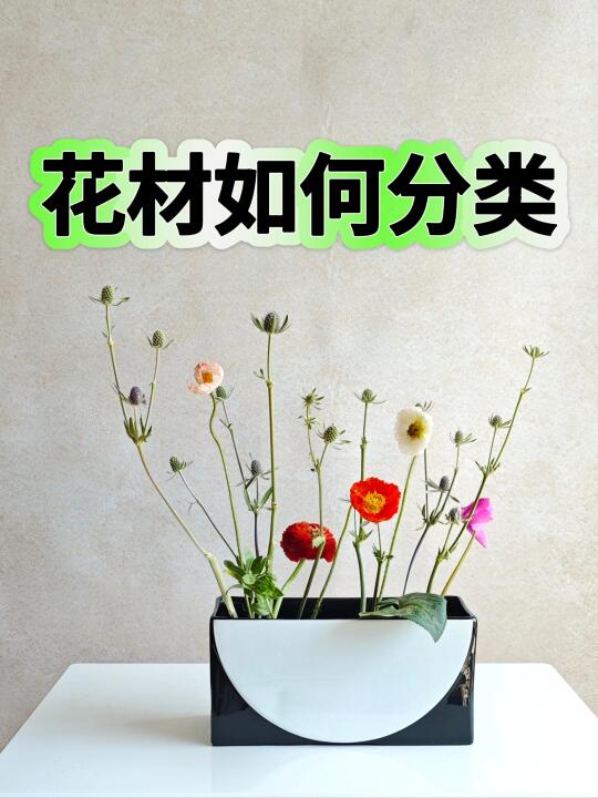 1⃣️次讲透花材分类和插花应用💥