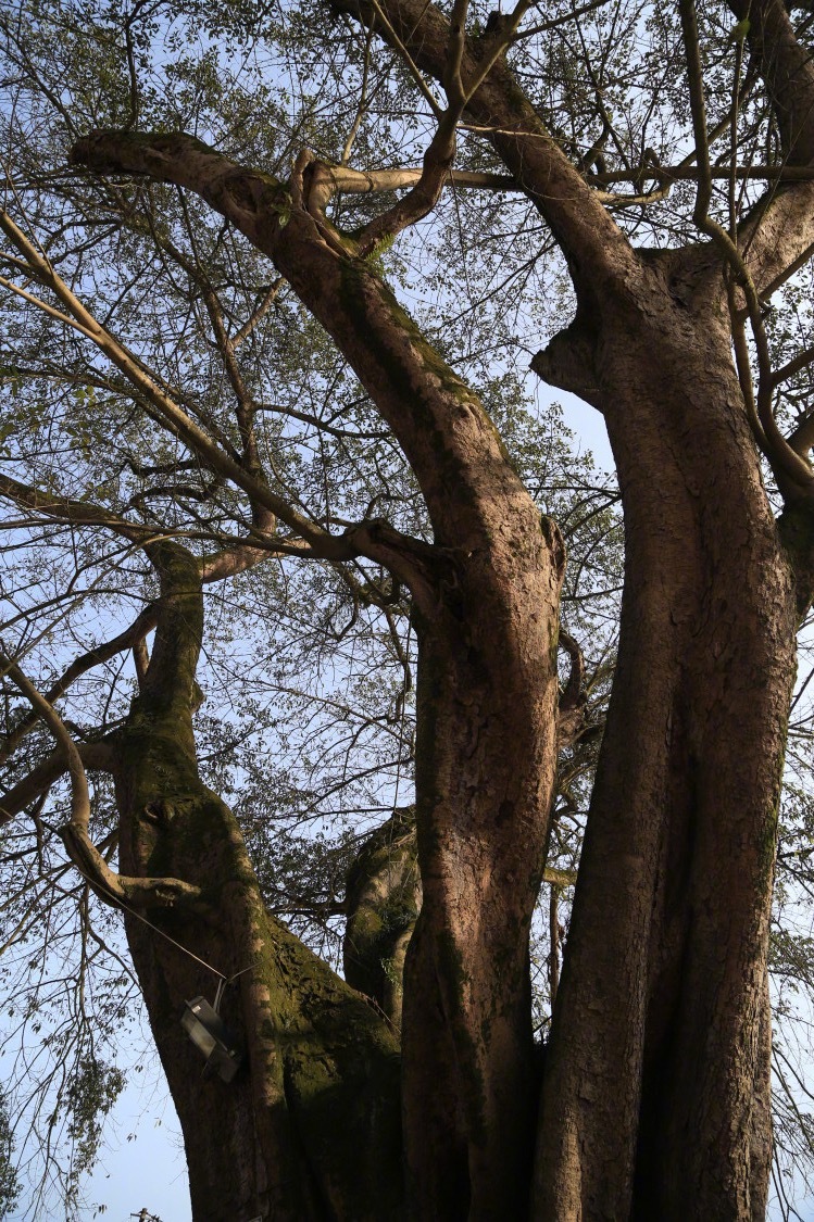 理想主义，最适合用来善待自己；现实主义，最适合用来善待他人。谓之：个性待己，共性
