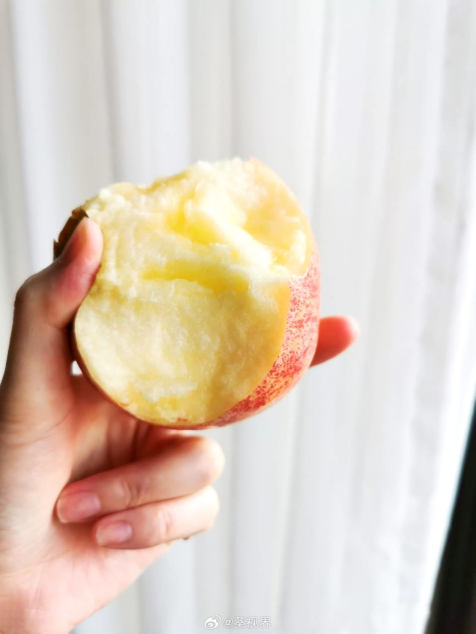 雷打不动的每天吃一个苹果。刚才举着苹果从厨房往房间走，在走廊上，迎面来了一只小飞