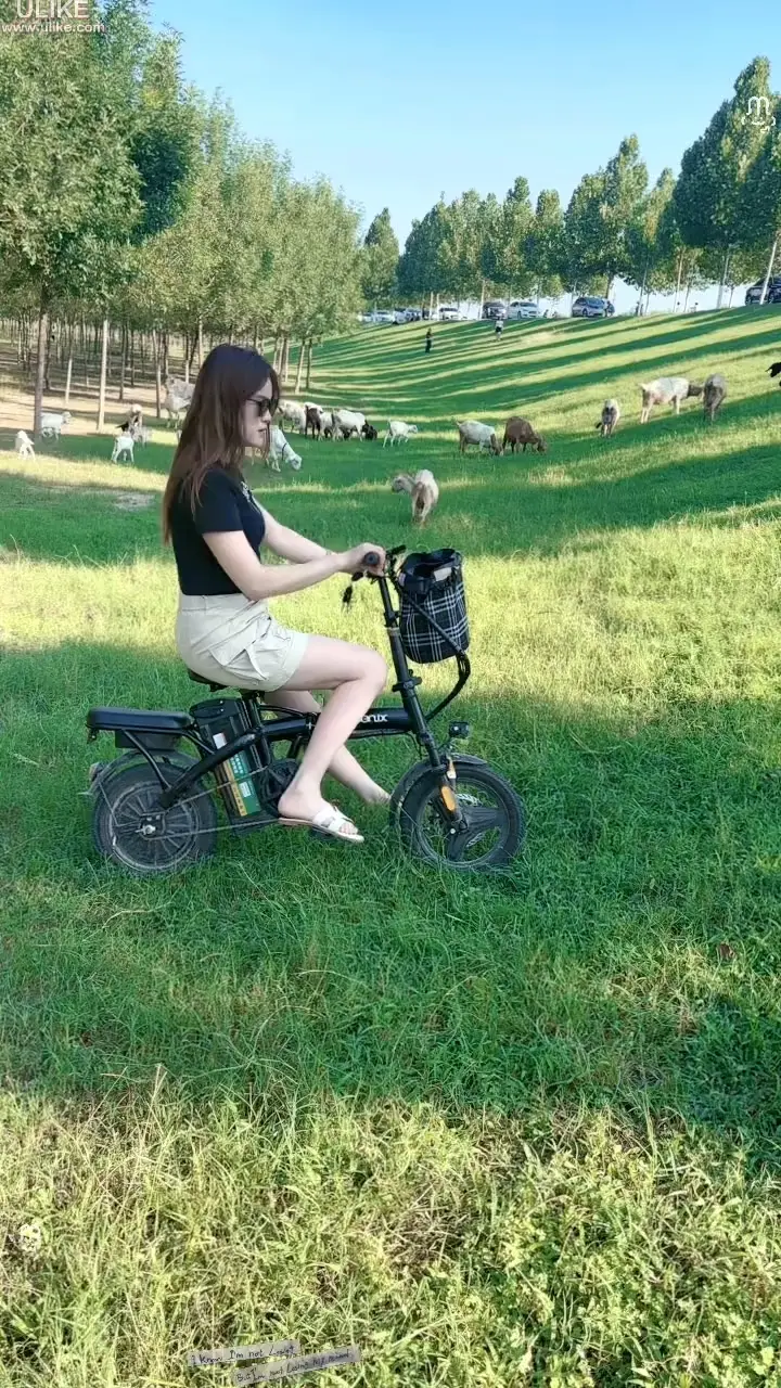夏天的风 纪录美好生活 户外