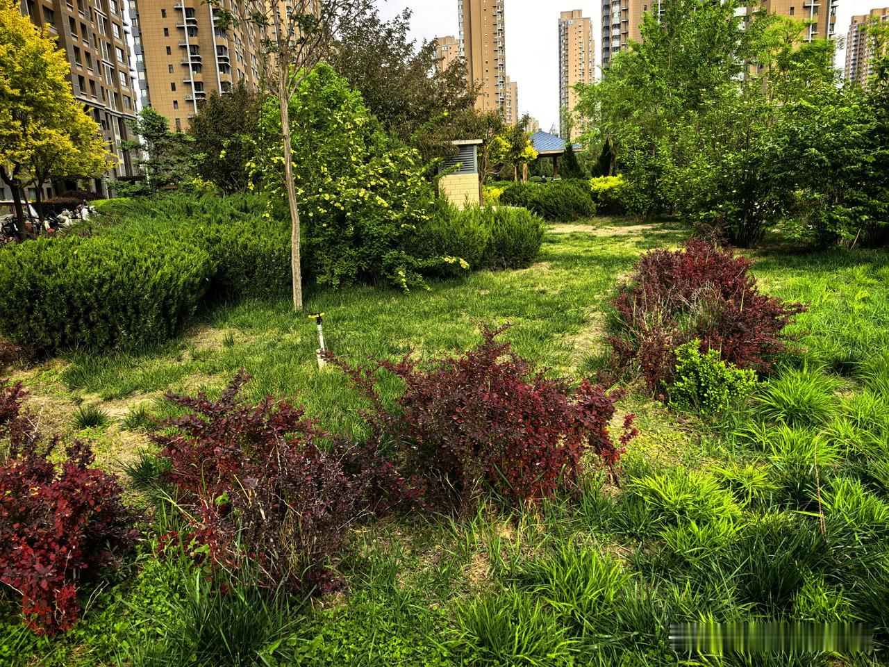 春日生活打卡季春风漫过街巷，草木悄悄换新。不追繁花盛景，只在寻常角落，接住一抹温