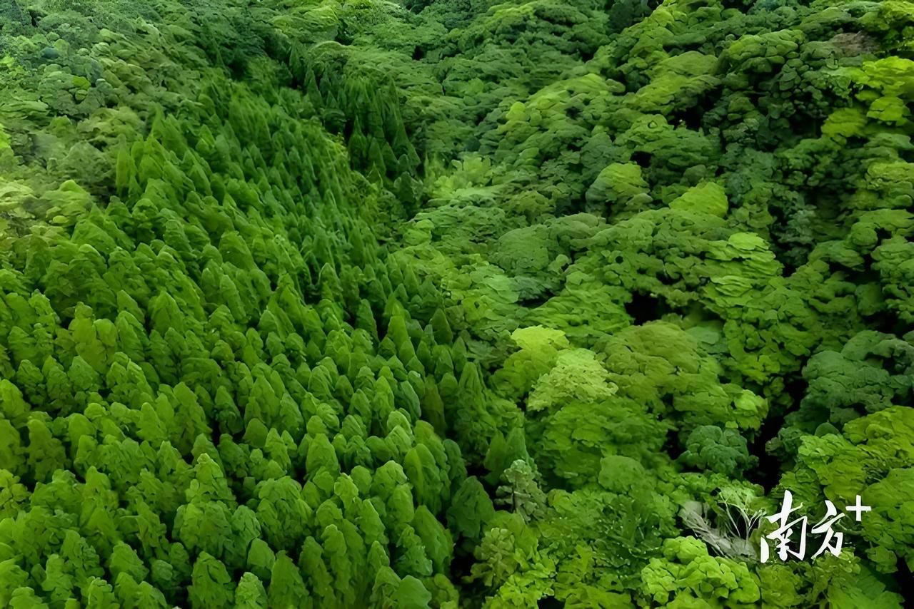 不少人的家庭过得磕磕绊绊，根源都在夫妻二人不肯彼此迁就，个个都想占上风，乱了相处